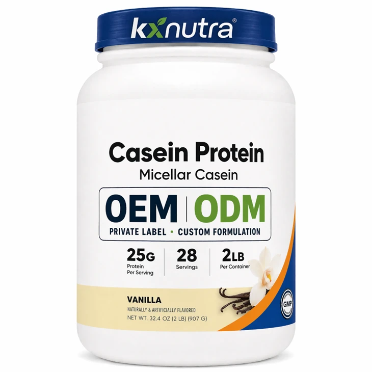 Best Casein Protein Powder